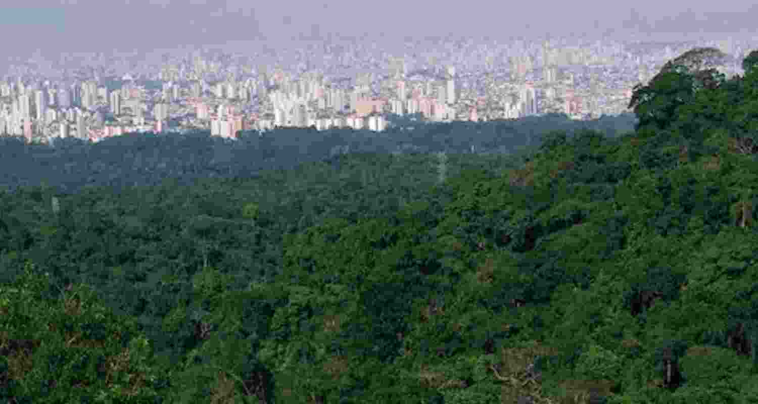 Representative Image. 