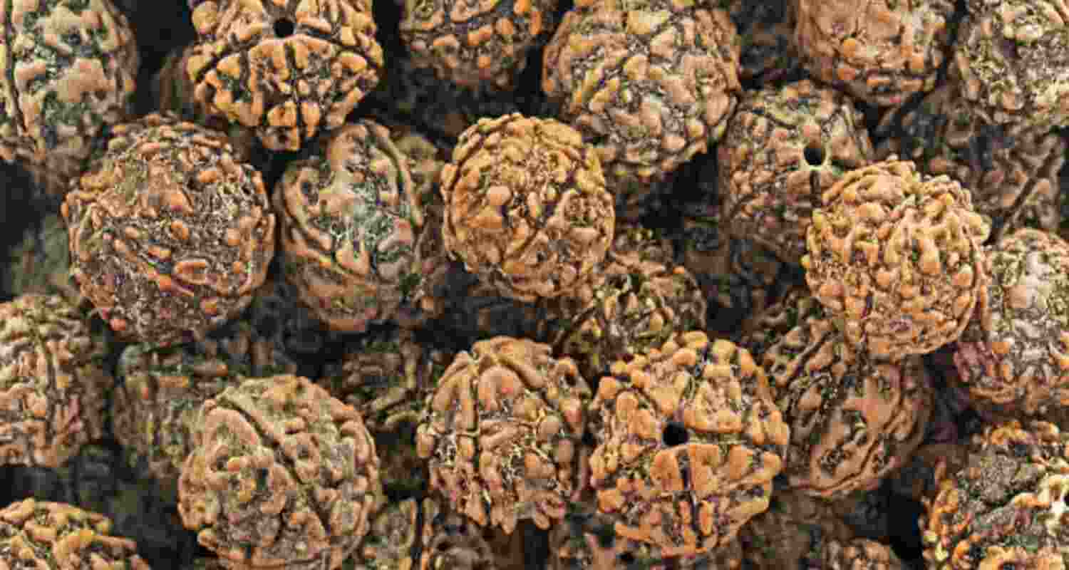 India and the four European nations bloc, EFTA (European Free Trade Association), signed the agreement on March 10, 2024