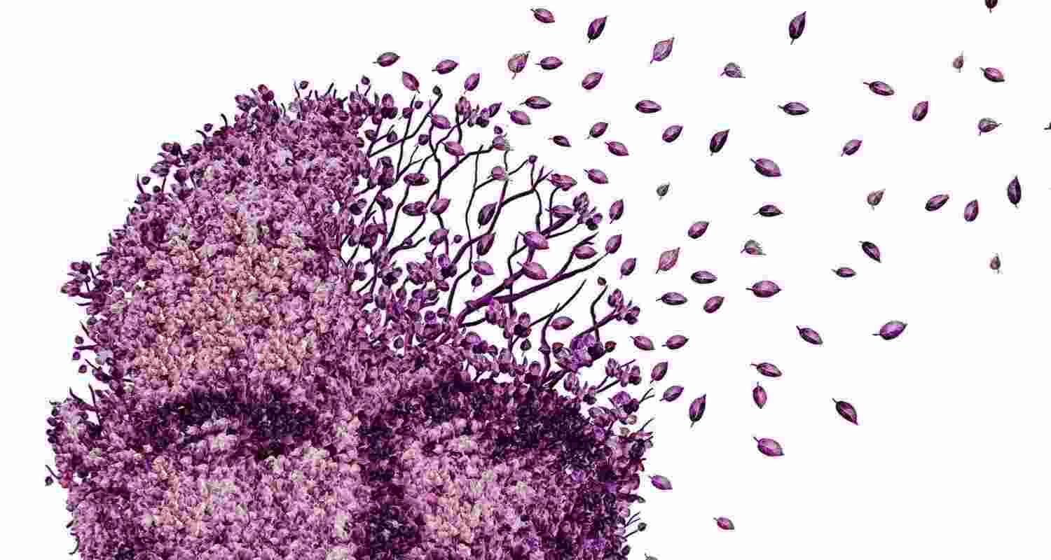 The cerebrospinal fluid not only helps cushion the central nervous system against shocks, but also nourishes the organ with nutrients and is responsible for removing waste build-up