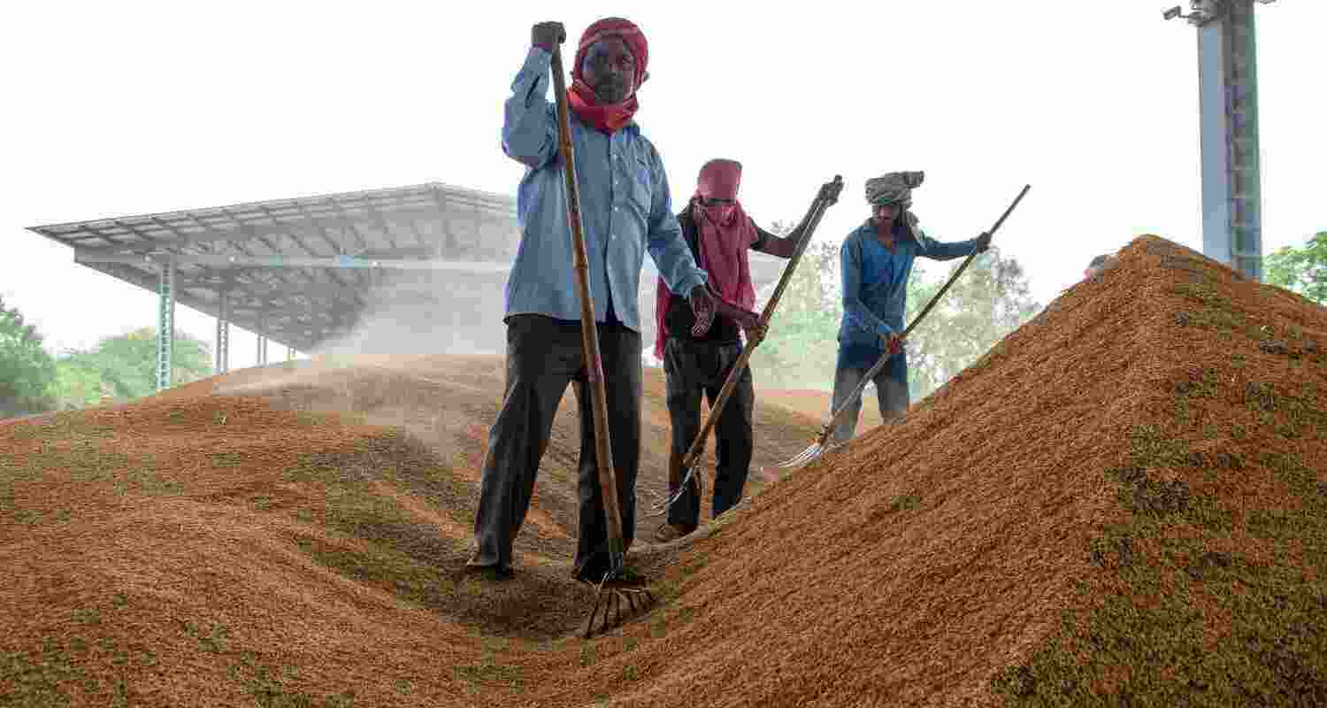 With an Indian delegation visiting Philippines early September, the Centre hopes to nudge the archipelagic country to buy more rice from India, which is the world’s largest rice exporter