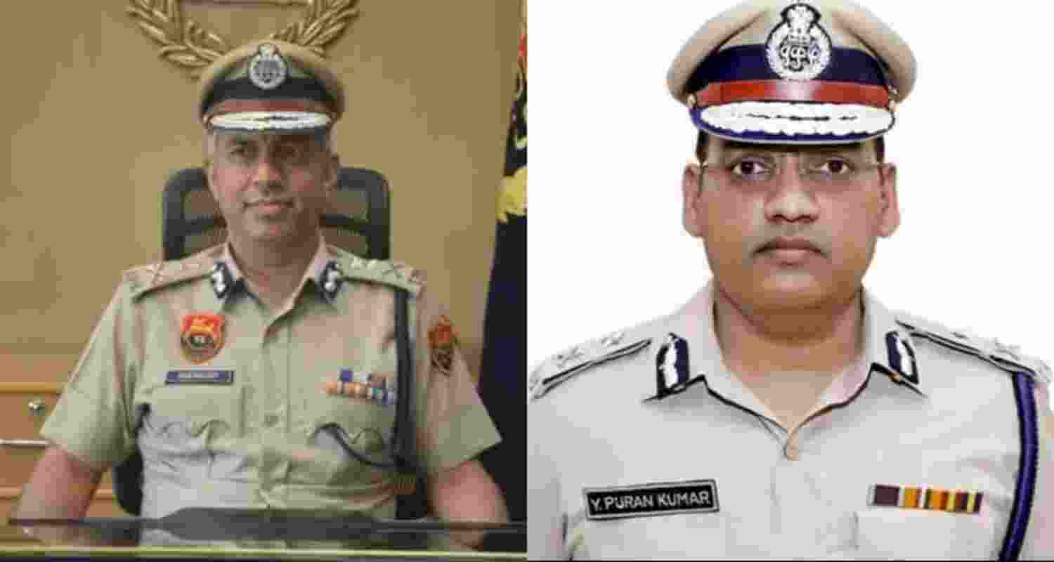 A representative image.