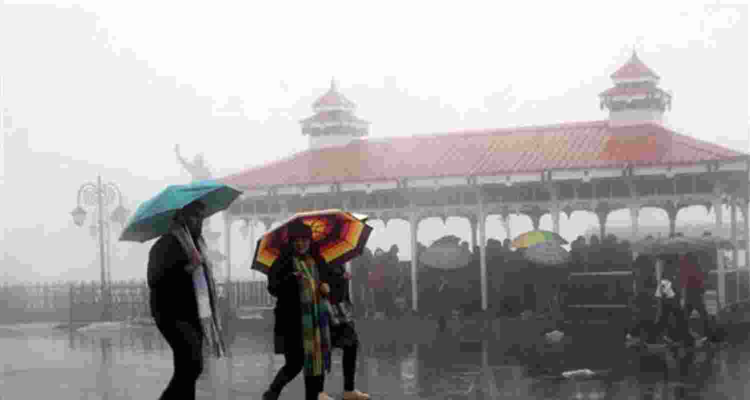 A representative image.