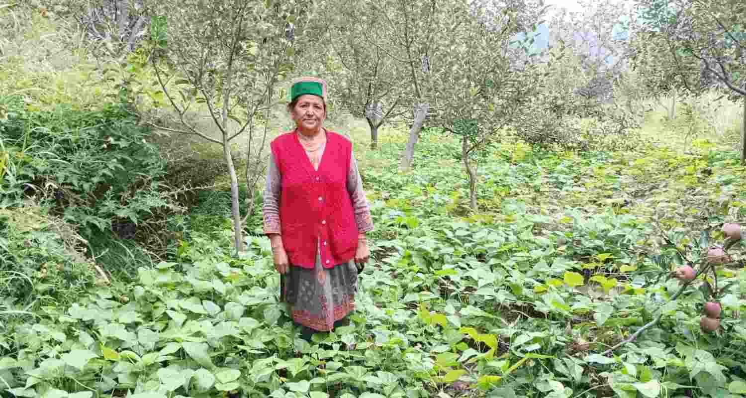 Chhering Lamo poses for a picture along with her organic crops.