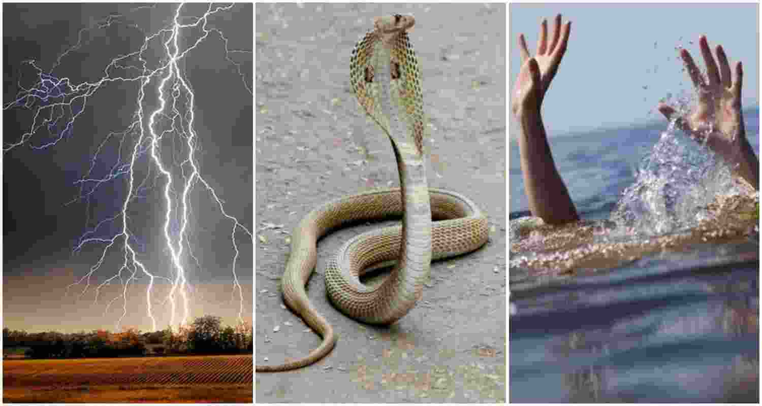 Image for representative use only.