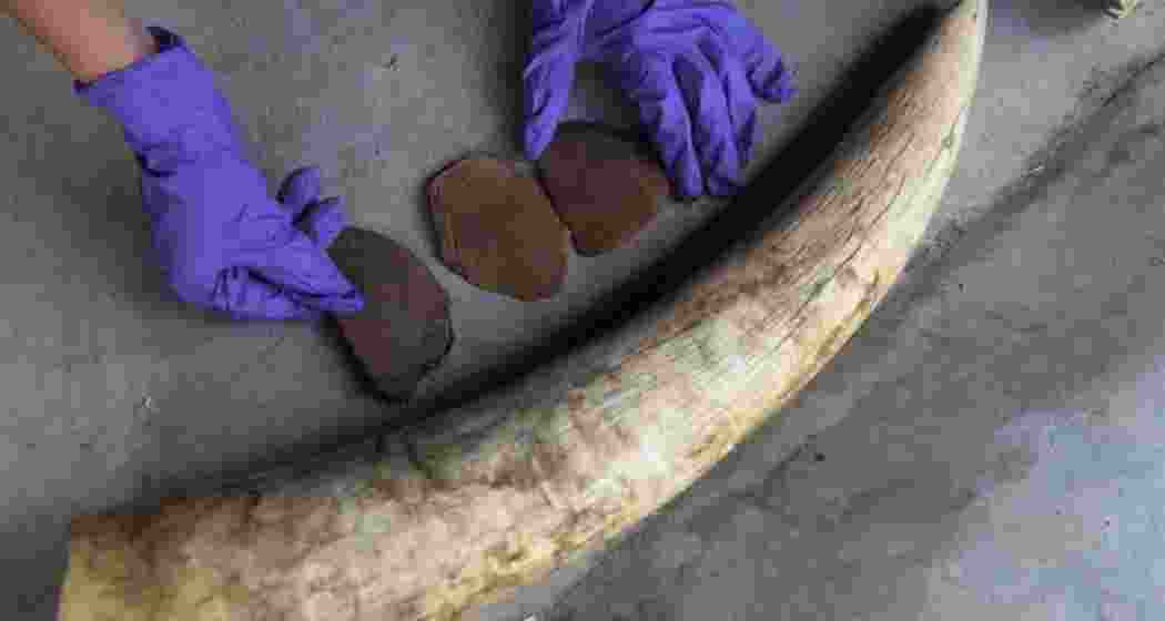 Representational image.