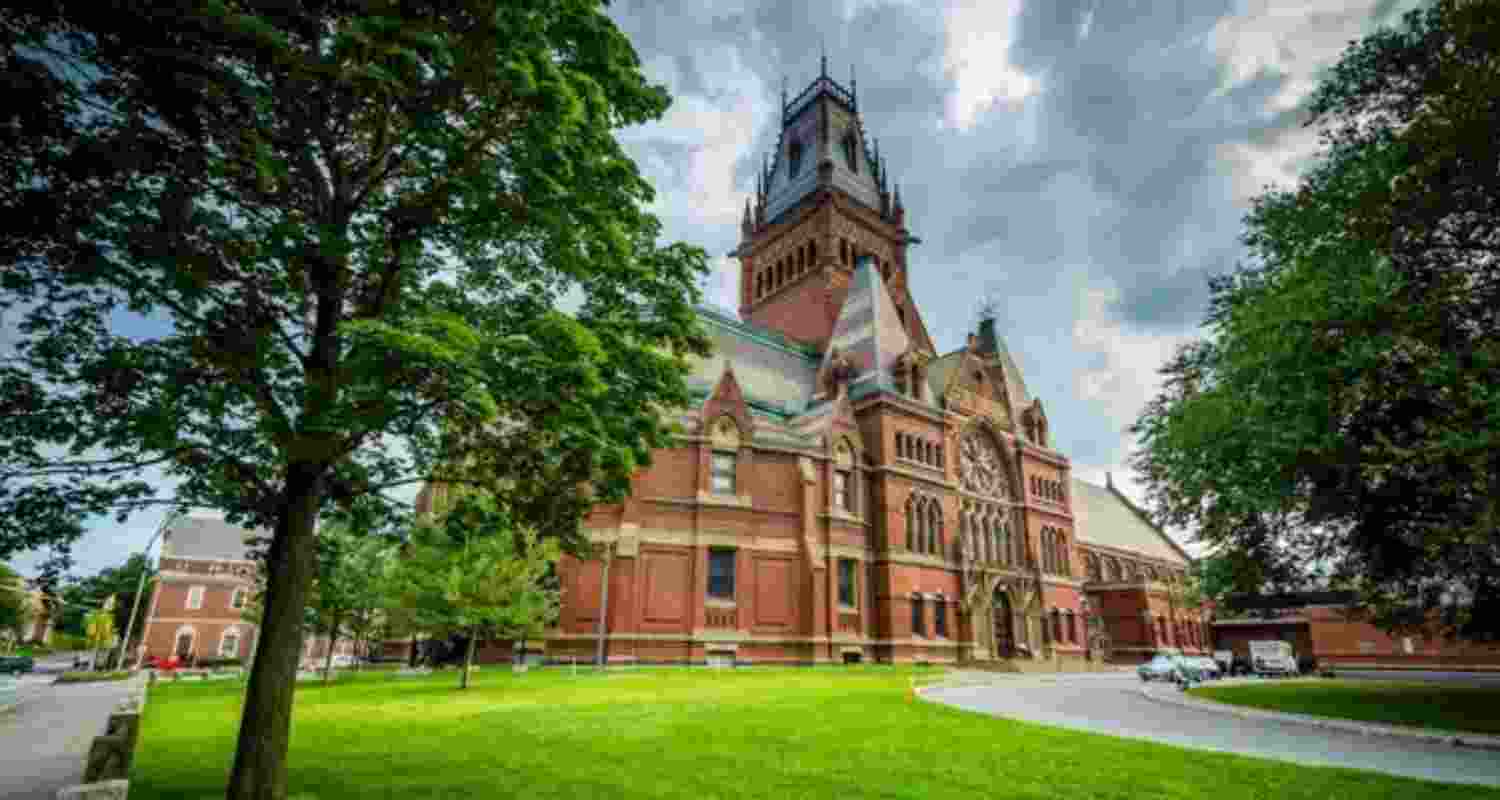 Harvard University. Image: X
