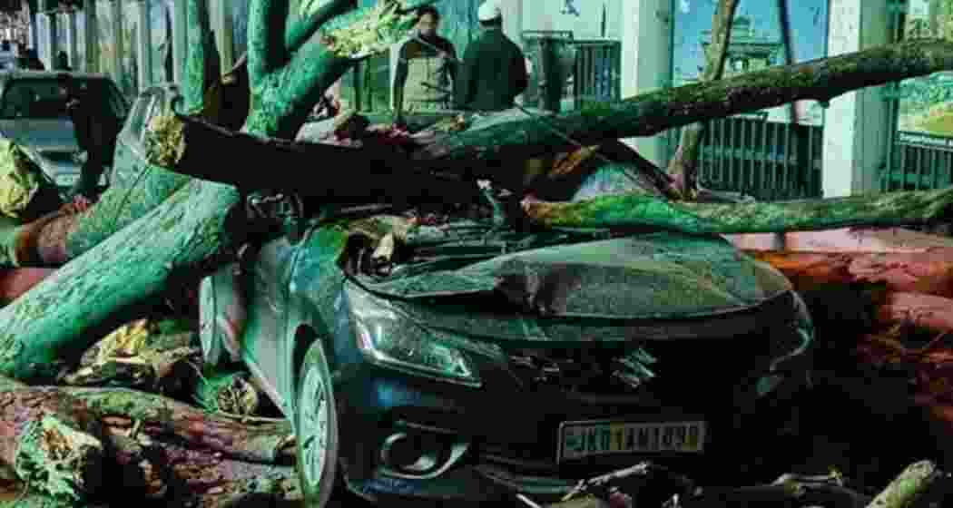 A car crushed under fallen tree debris in Srinagar after strong winds wreaked havoc across the city.