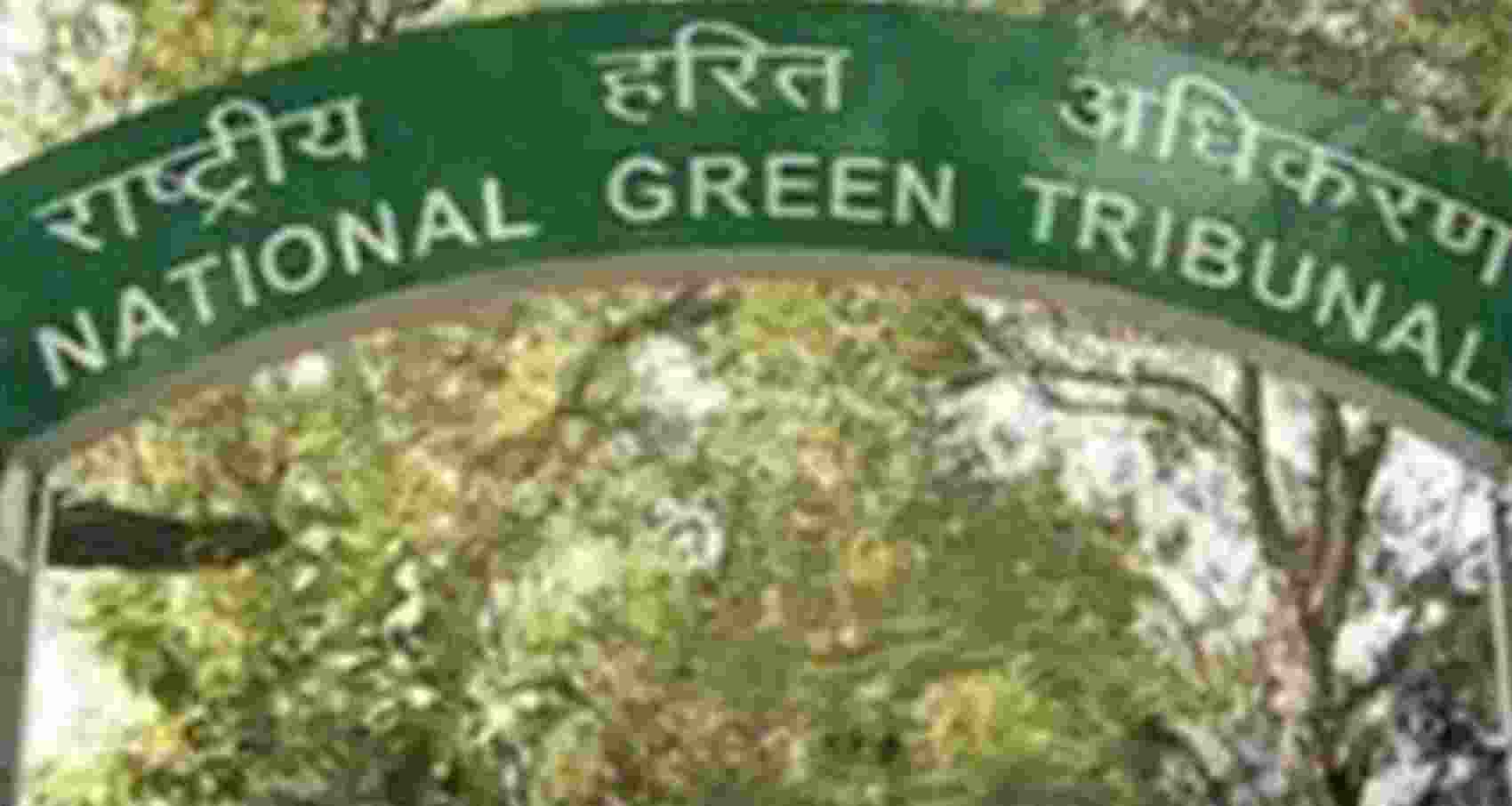 NGT orders UP govt to map heavy metal pollution in Kanpur