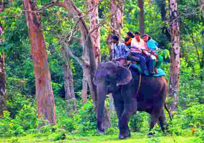 According to the forest department, seven elephant safaris have been lined up in Jaldapara and four in Gorumara. A fixed number of tourists will be accommodated daily. 