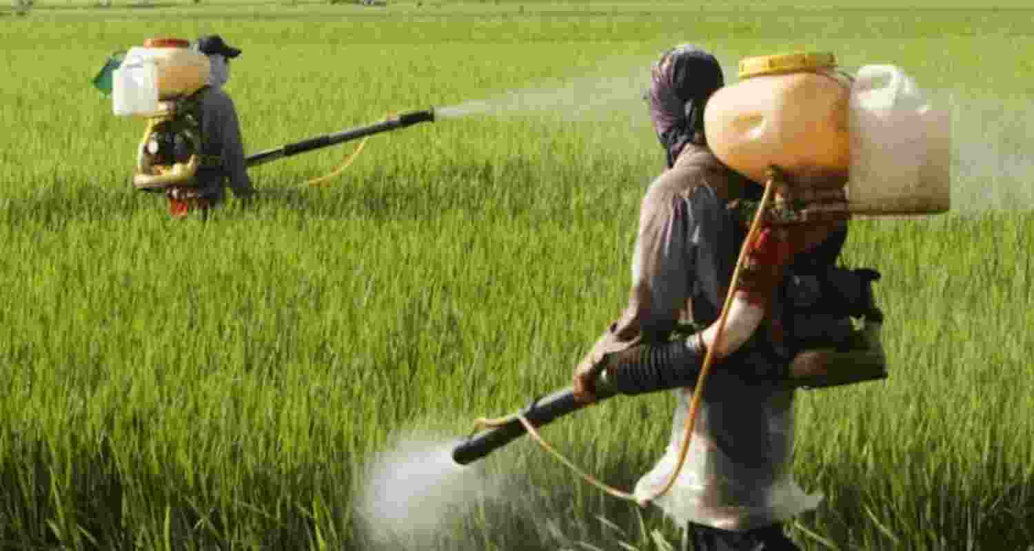 Representational Image.