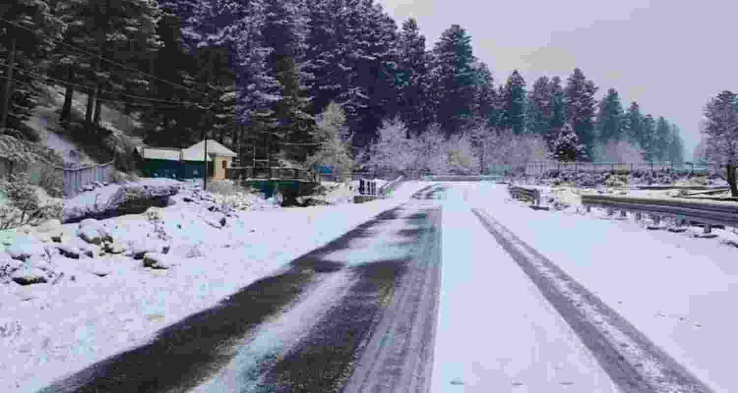 A representative image.