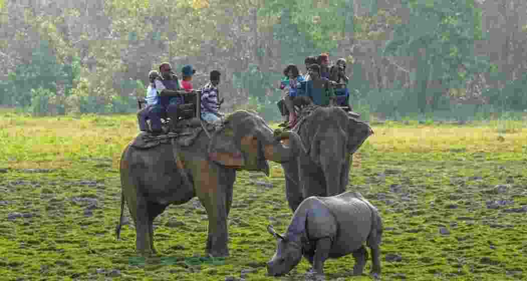 Kaziranga records 4L tourists in 2024-25, a fourfold rise