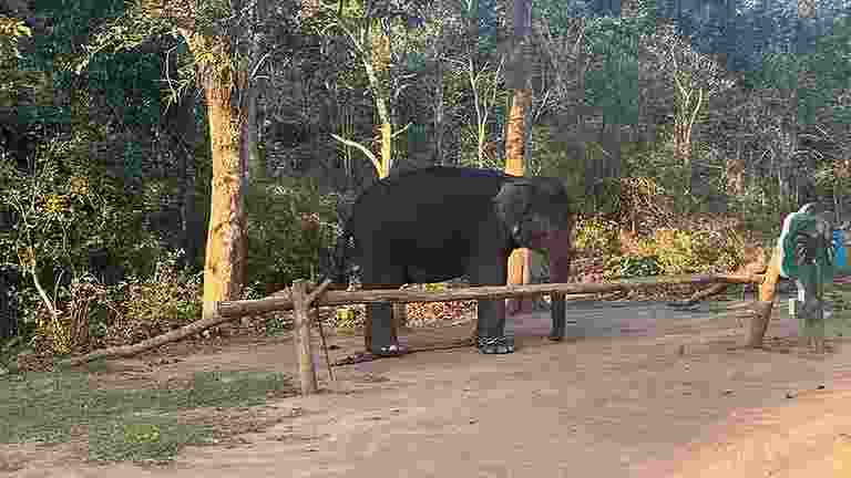 Wildlife Amendment Act :Kerala first state to pass  bill