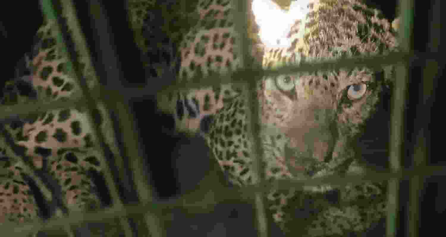 Representative Image. 