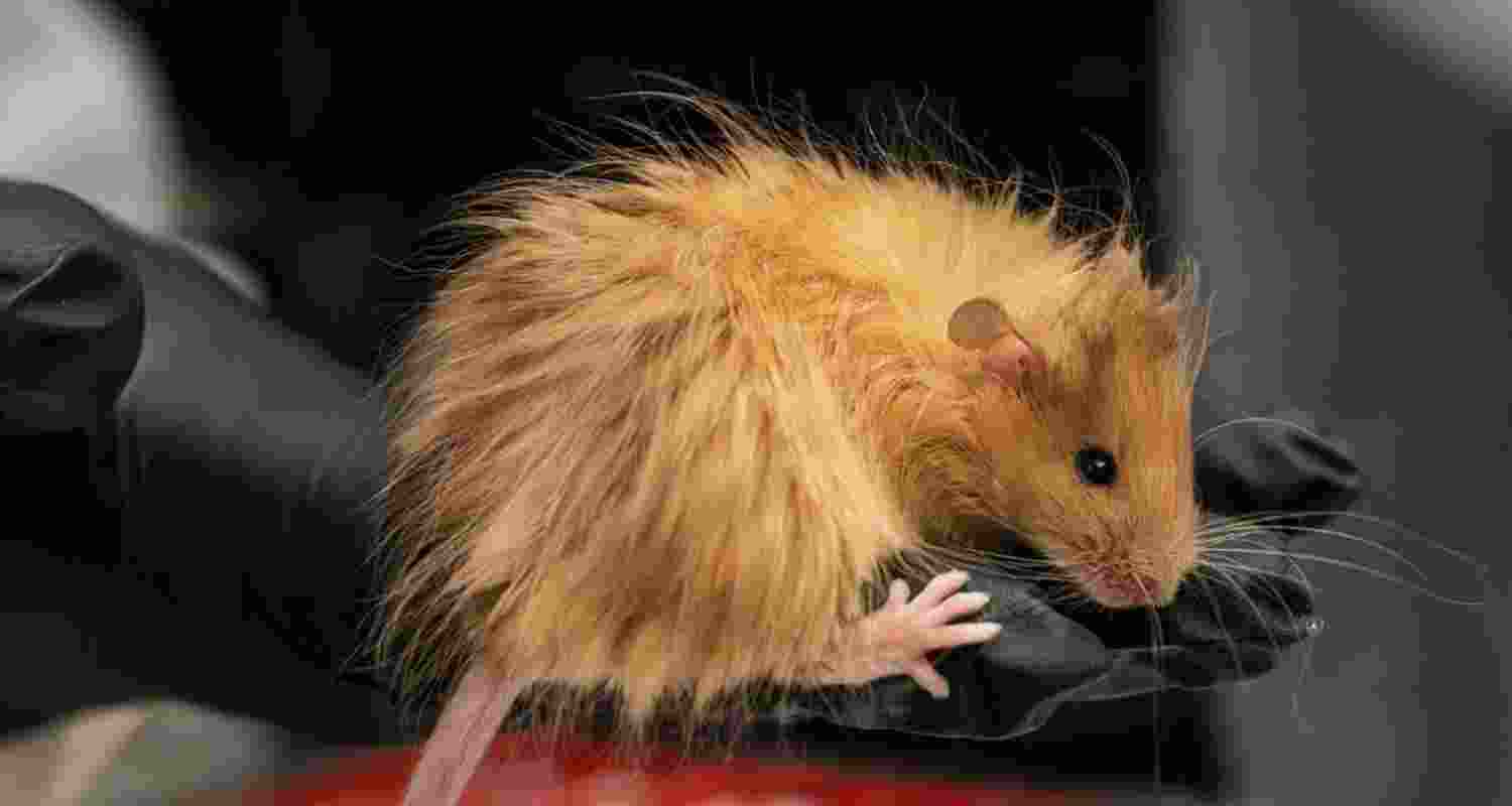 Representational image.