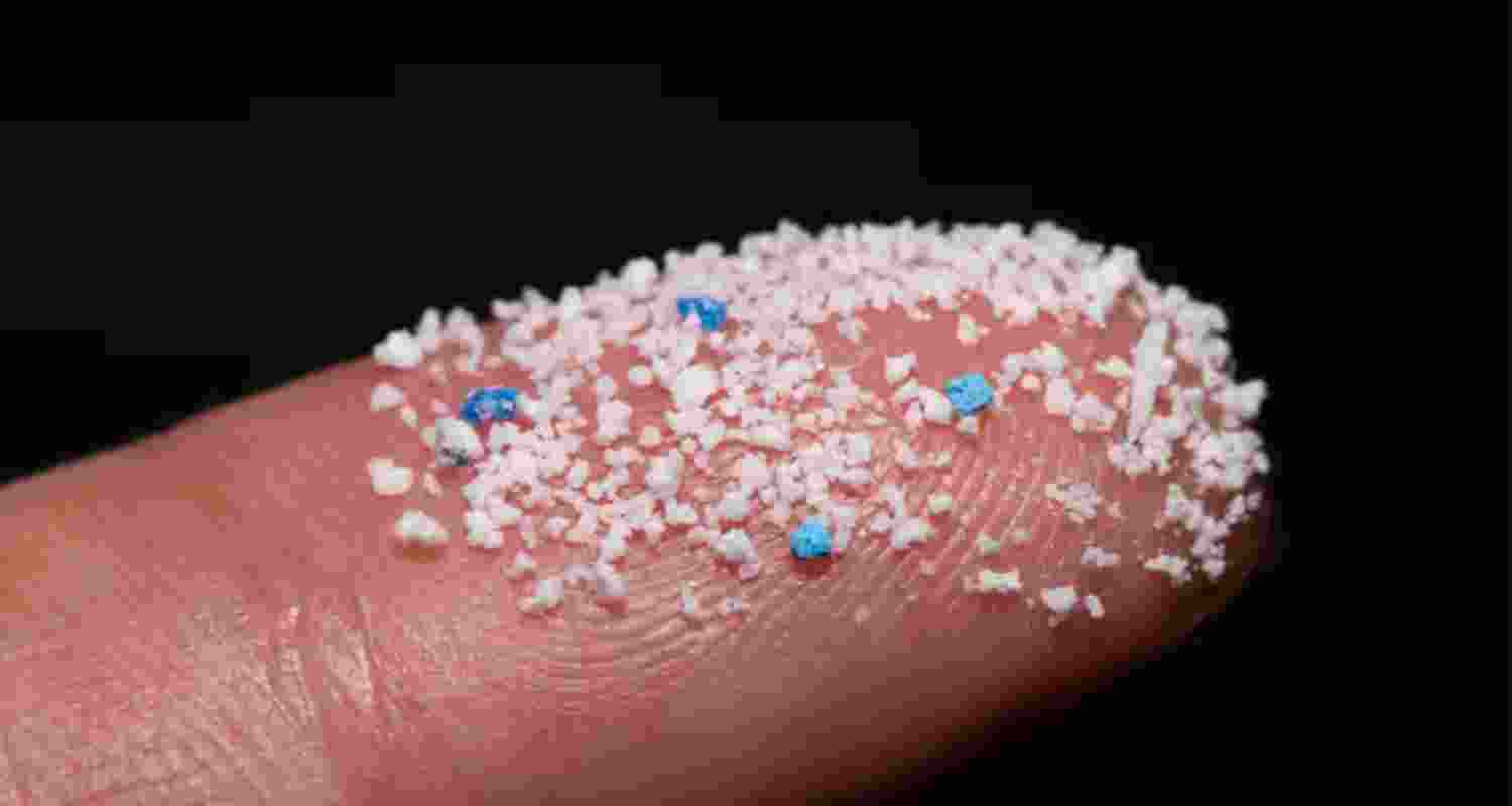 Microplastics in brains: Should we be worried?