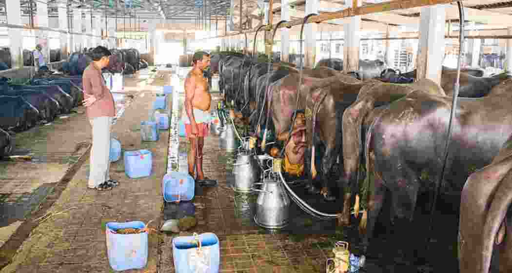 Representational image. 