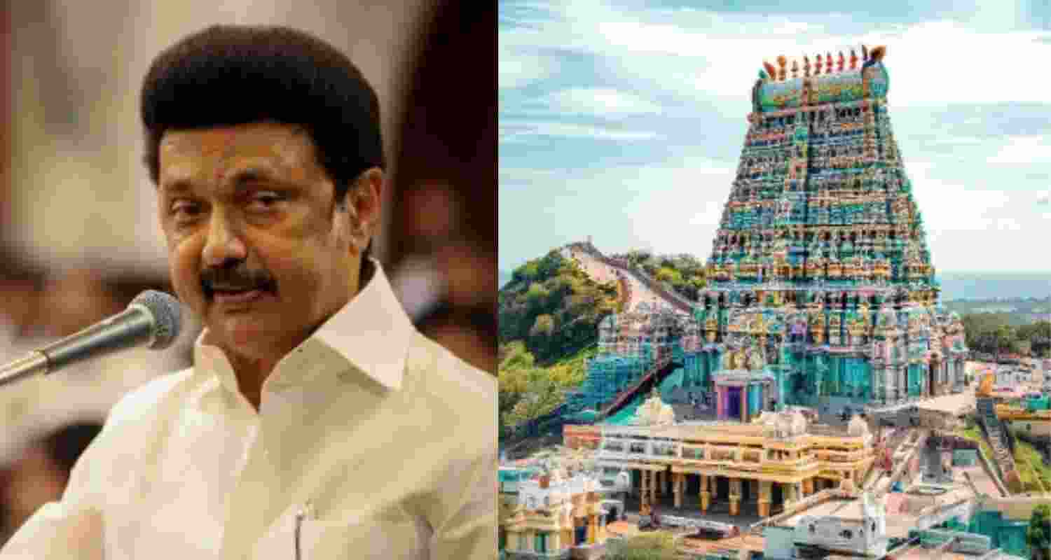 Ghee for 'prasadam' at Palani temple is from Aavin: TN govt
