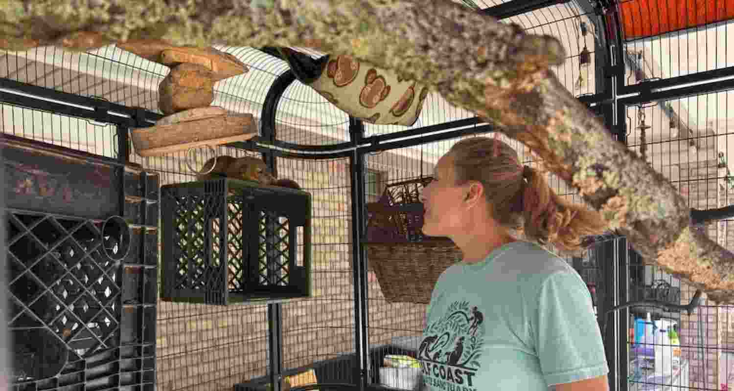 April Stewart, the founder of the Gulf Coast Primate Sanctuary, checks on a kinkajou in Perkinston, Mississippi.