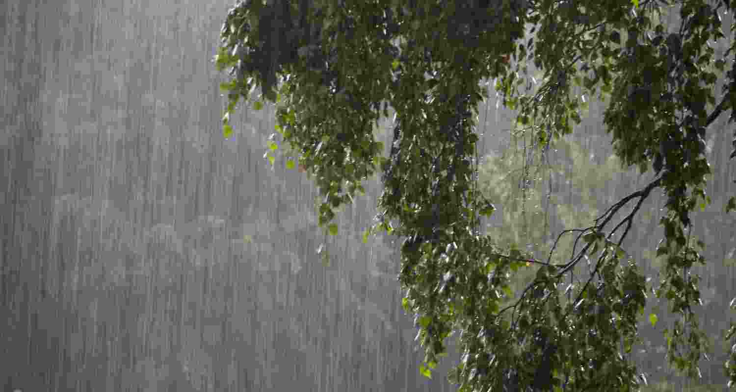 Representative Image. 