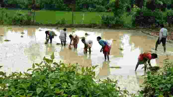 In a recent statement released on Tuesday, the National Bank for Agriculture and Rural Development (NABARD) made a clarifying announcement regarding its lending practices.