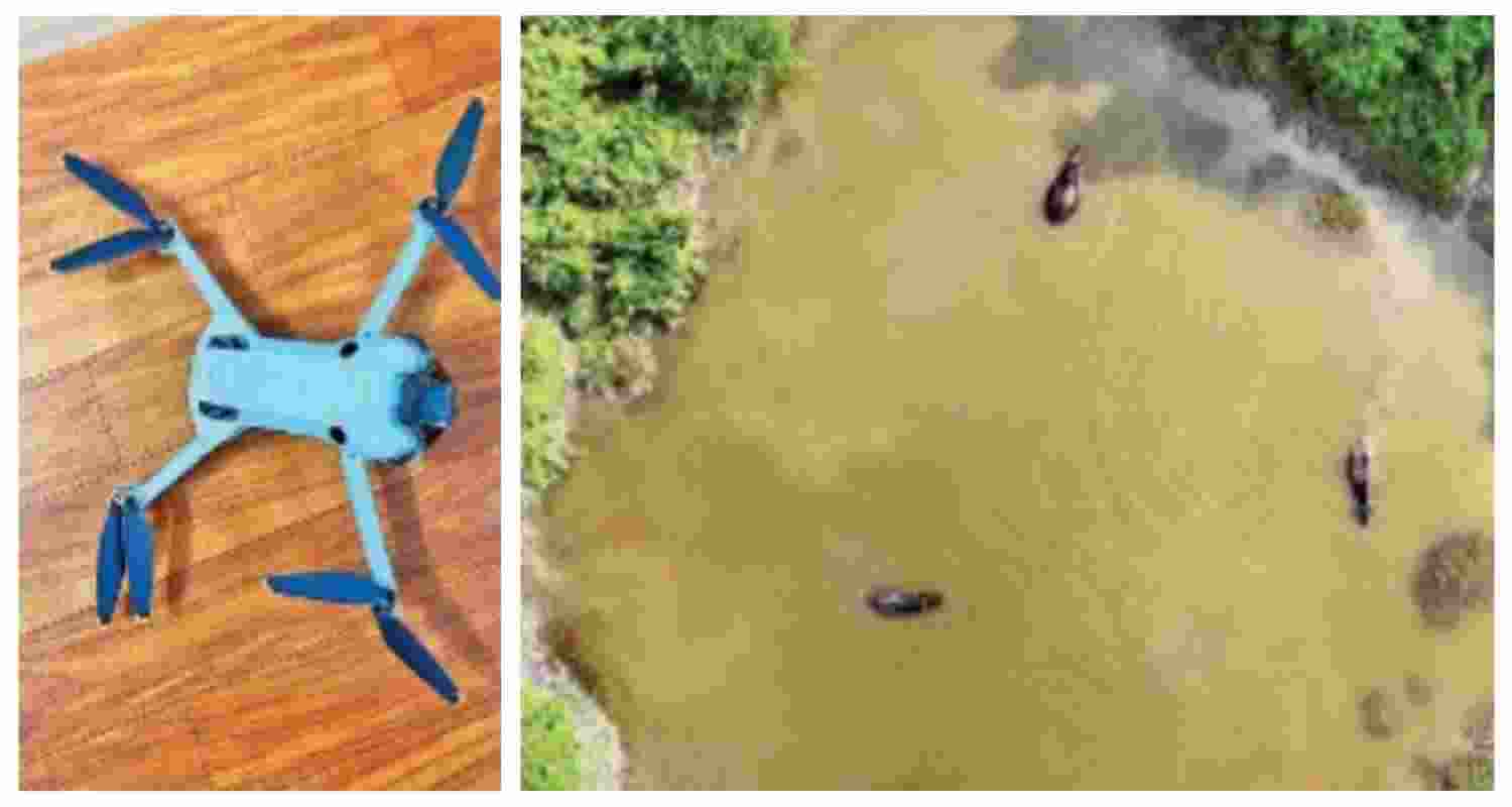 A drone view of Jaldapara National Park. Photo credit - NAI correspondent.