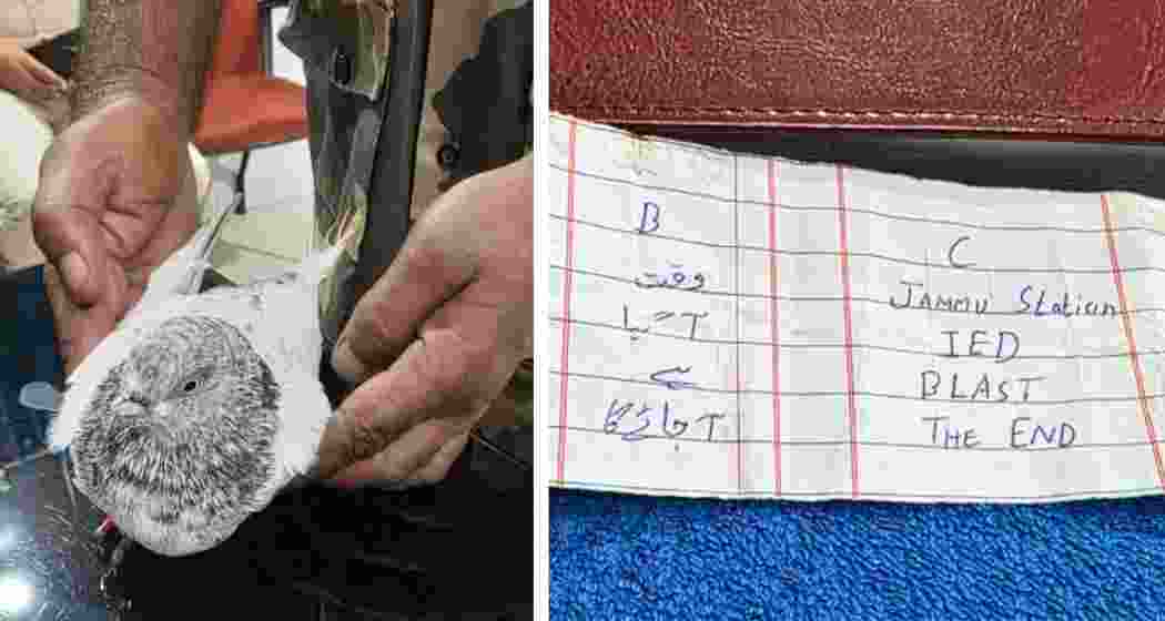 Security personnel display the pigeon carrying a threat letter, captured near the International Border.
