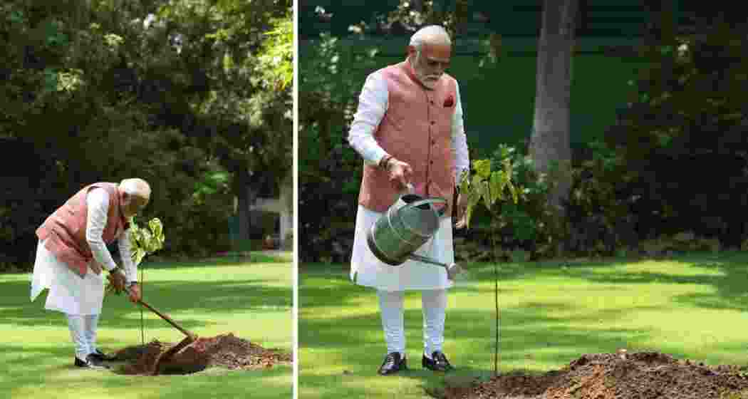 Prime Minister Narendra Modi plants a sindoor sapling at his residence on World Environment Day, honouring 1971 war heroines.
