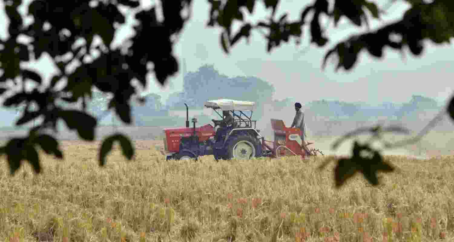 India-US trade deal: Farmer concerns and impact on agriculture