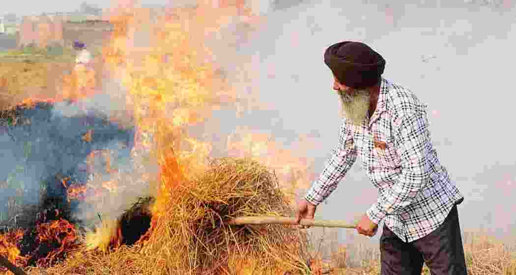 A representative image.