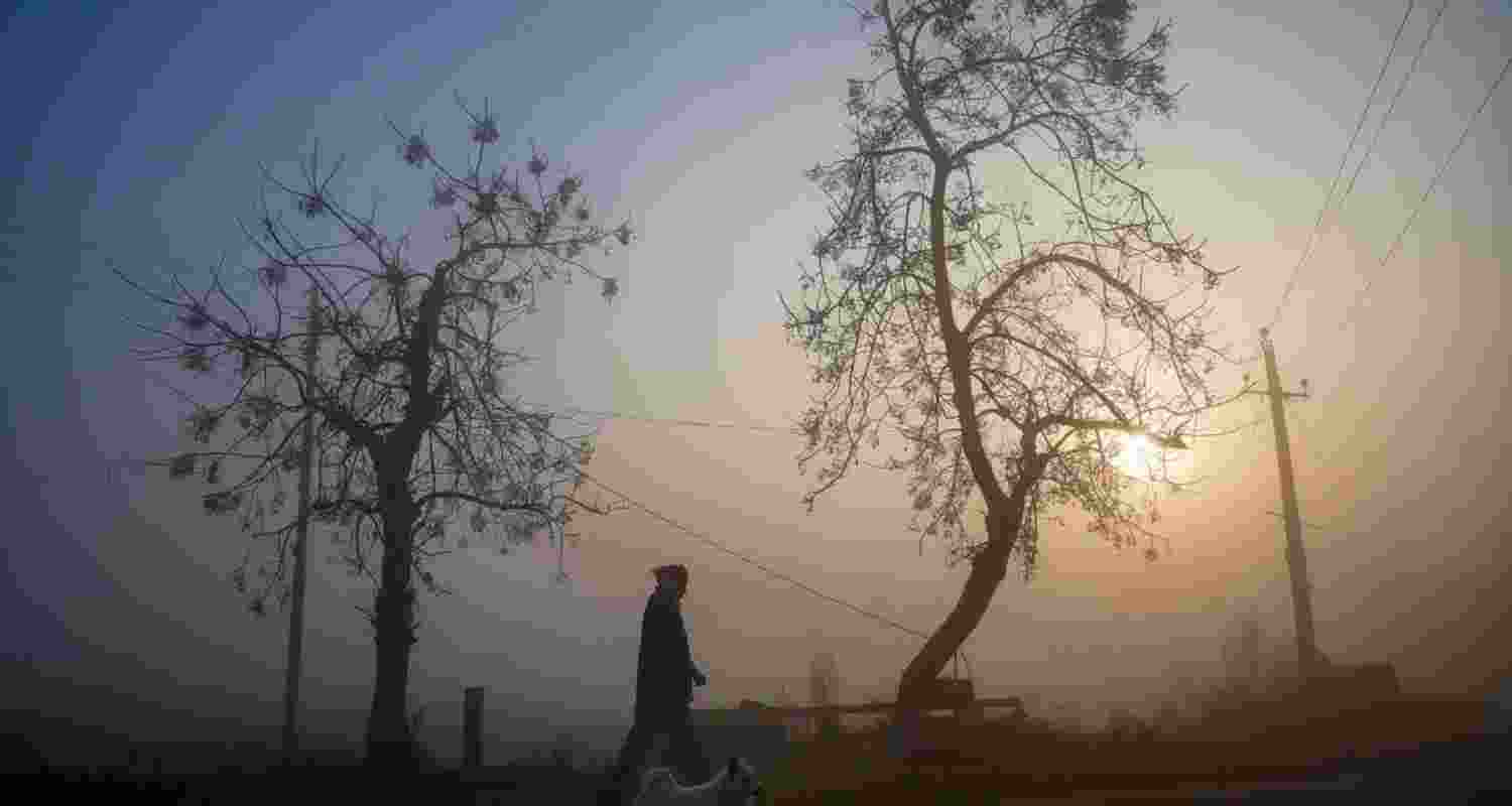 Punjab and Haryana witnessed pleasant weather as minimum temperatures rose above normal in most areas, though a few places recorded cold nights.