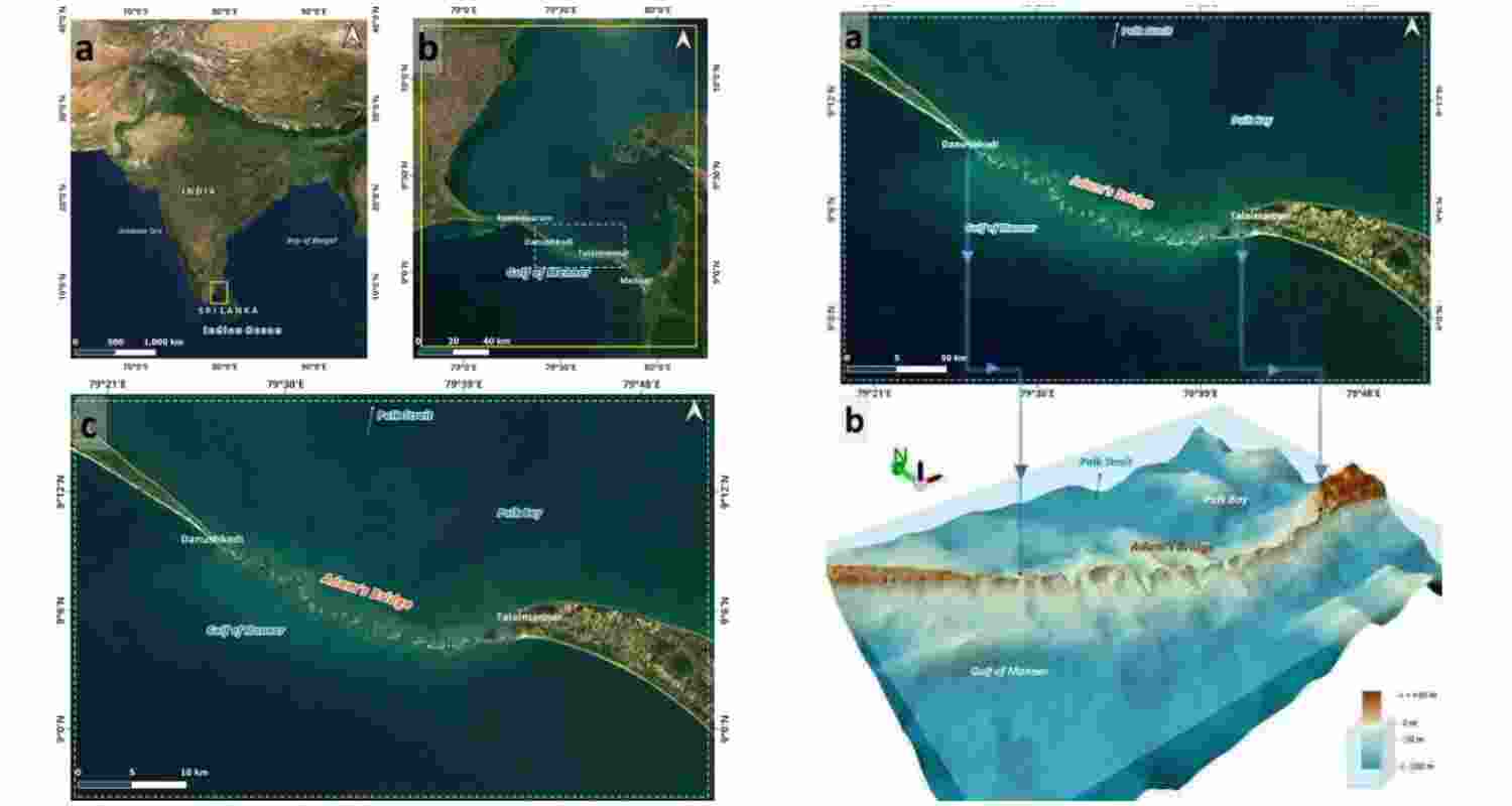 (Image on left) Location map of Adam’s Bridge. (a) The map shows India and Sri Lanka by highlighting the extent of Adam’s Bridge with a yellow box. (b) The map shows Rameshwaram Island (Indian side) and Mannar Island (Sri Lankan side) and highlights Adam’s Bridge with a white box that constitutes the study area. (c) Satellite Image showing Adam’s Bridge, which stretches from Dhanushkodi to Talaimannar. (Image on right) (a) Perspective view of Adam’s Bridge from the Gulf of Mannar as an observer position. (b) Perspective view of Adam’s Bridge from Palk Strait as an observer position. 