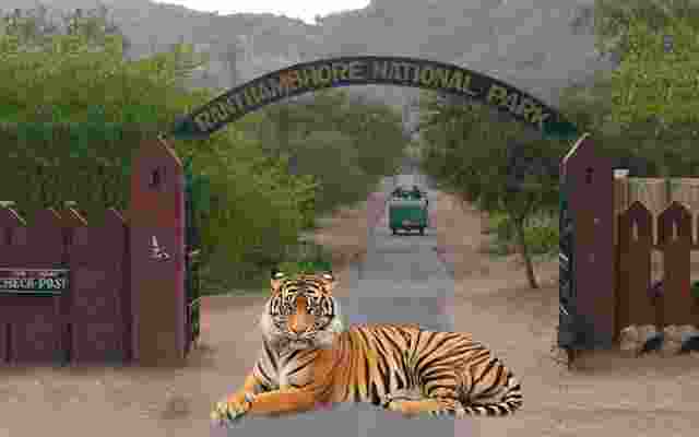 SC judges on two day trip to Ranthambore National Park