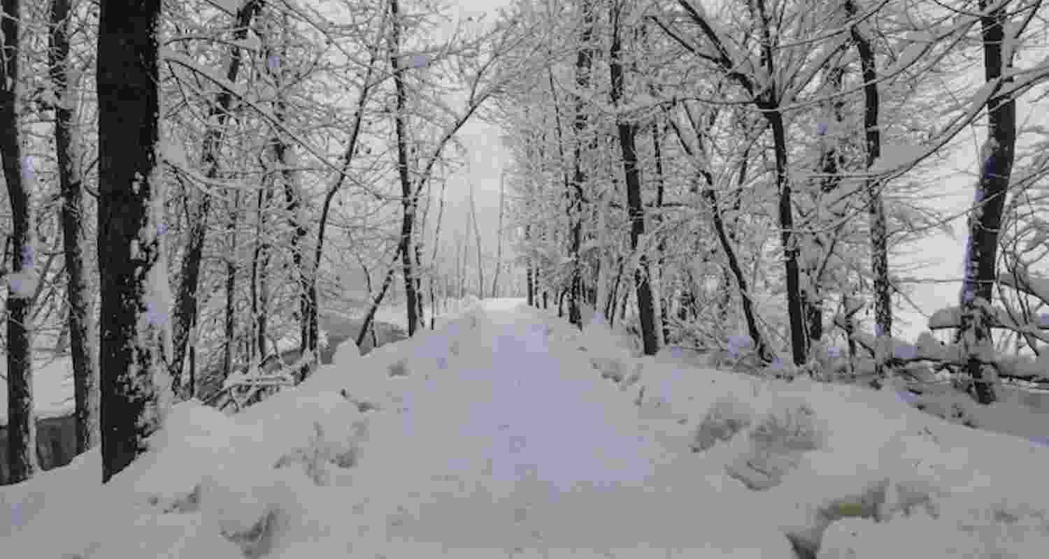 Representational image.