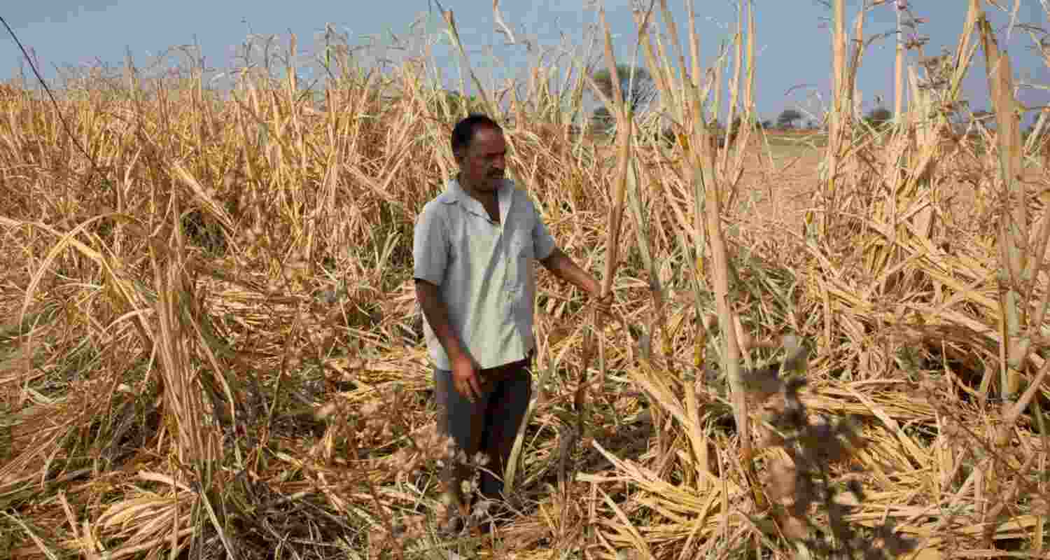 NHRC notices to states, UTs : No harsh action against farmers