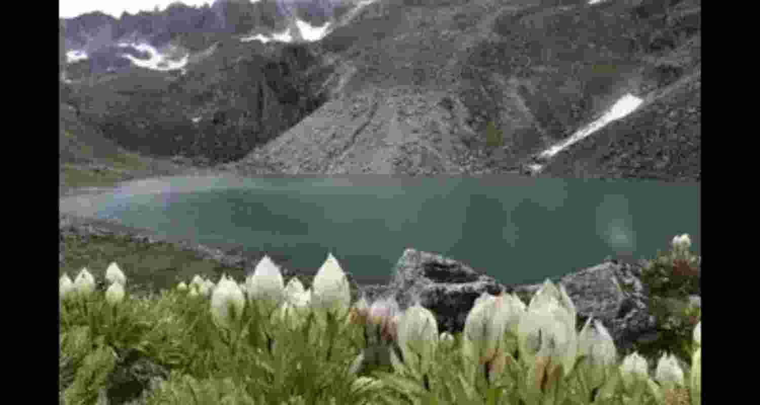 Representational Image. 