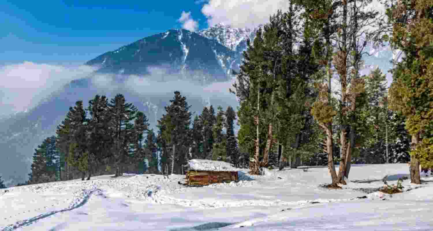 Representational Image. 