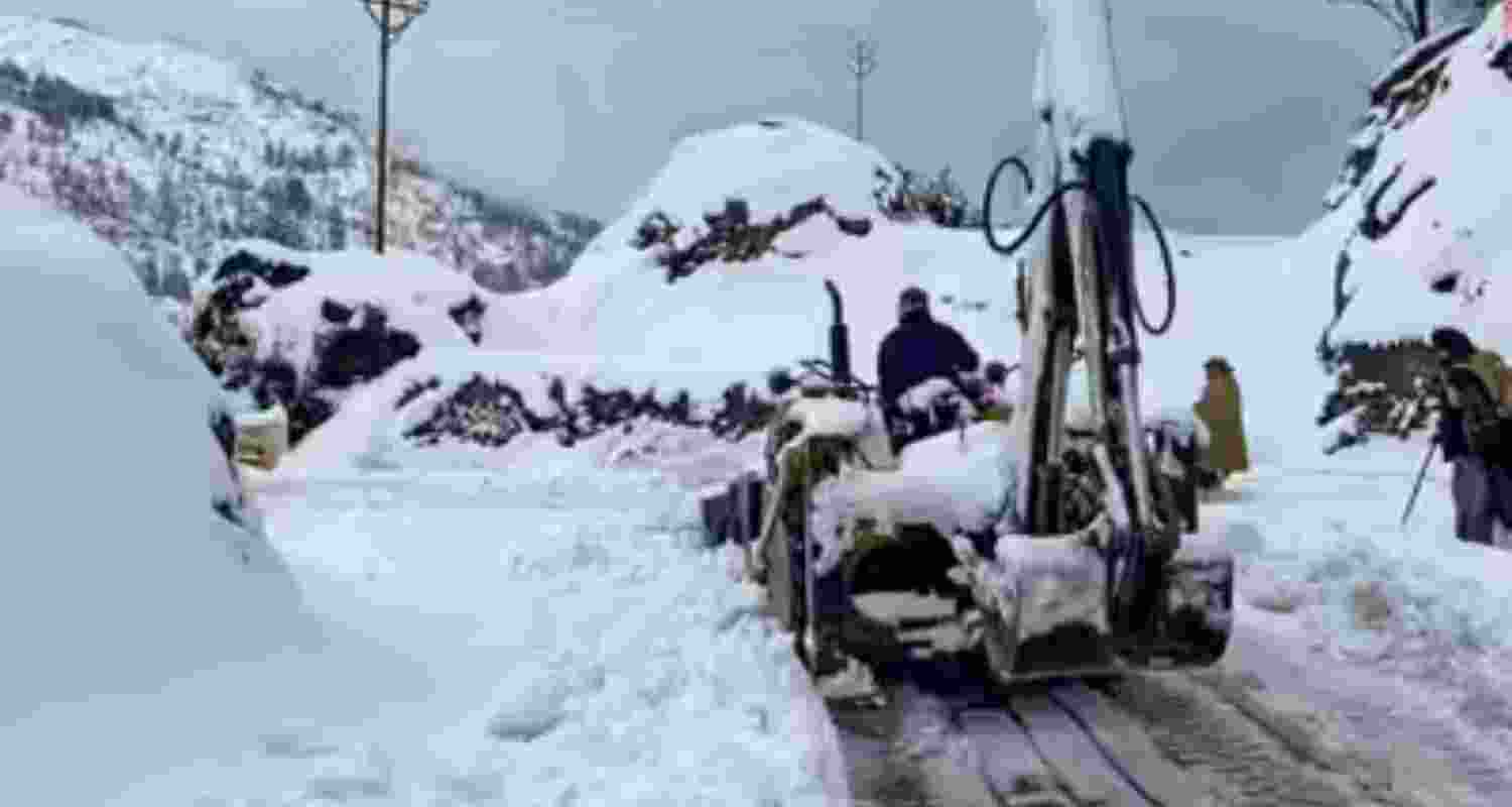 Representational Image. 