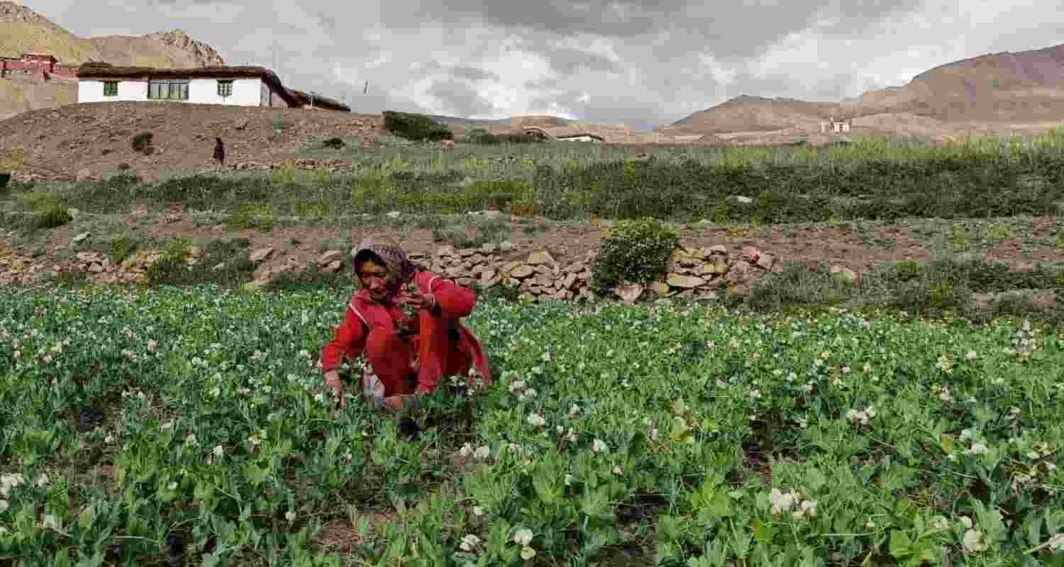 Representative image.