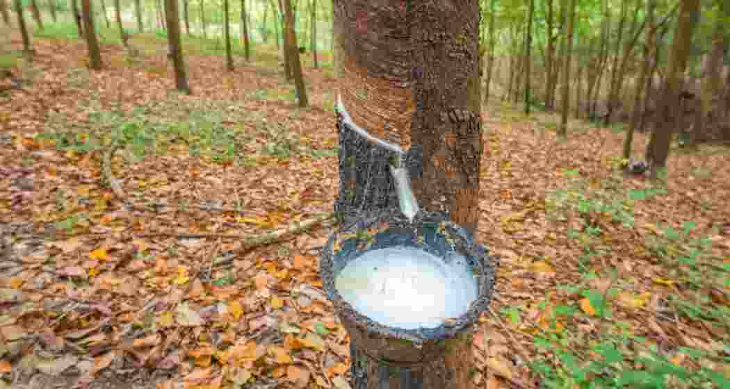 Representational image.