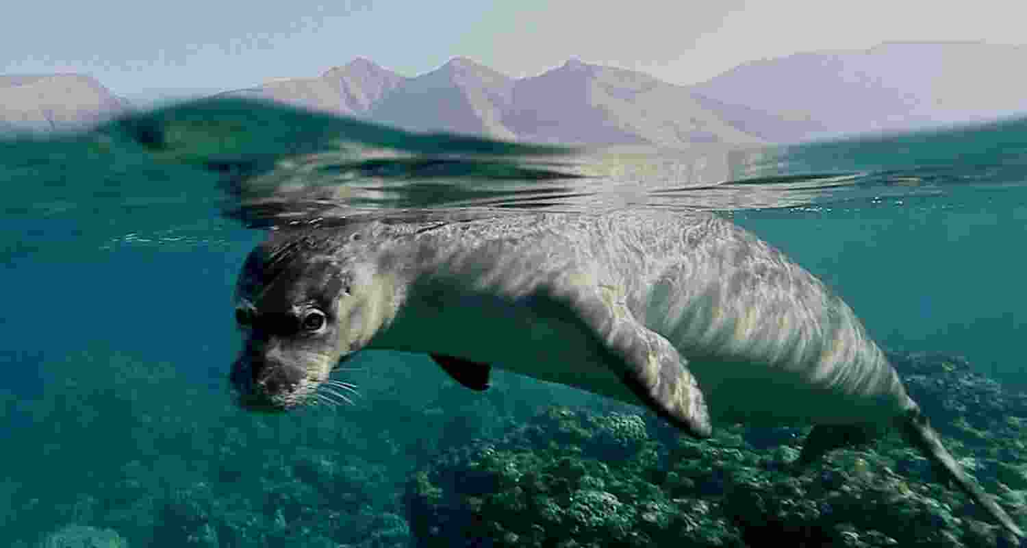 Representational image.