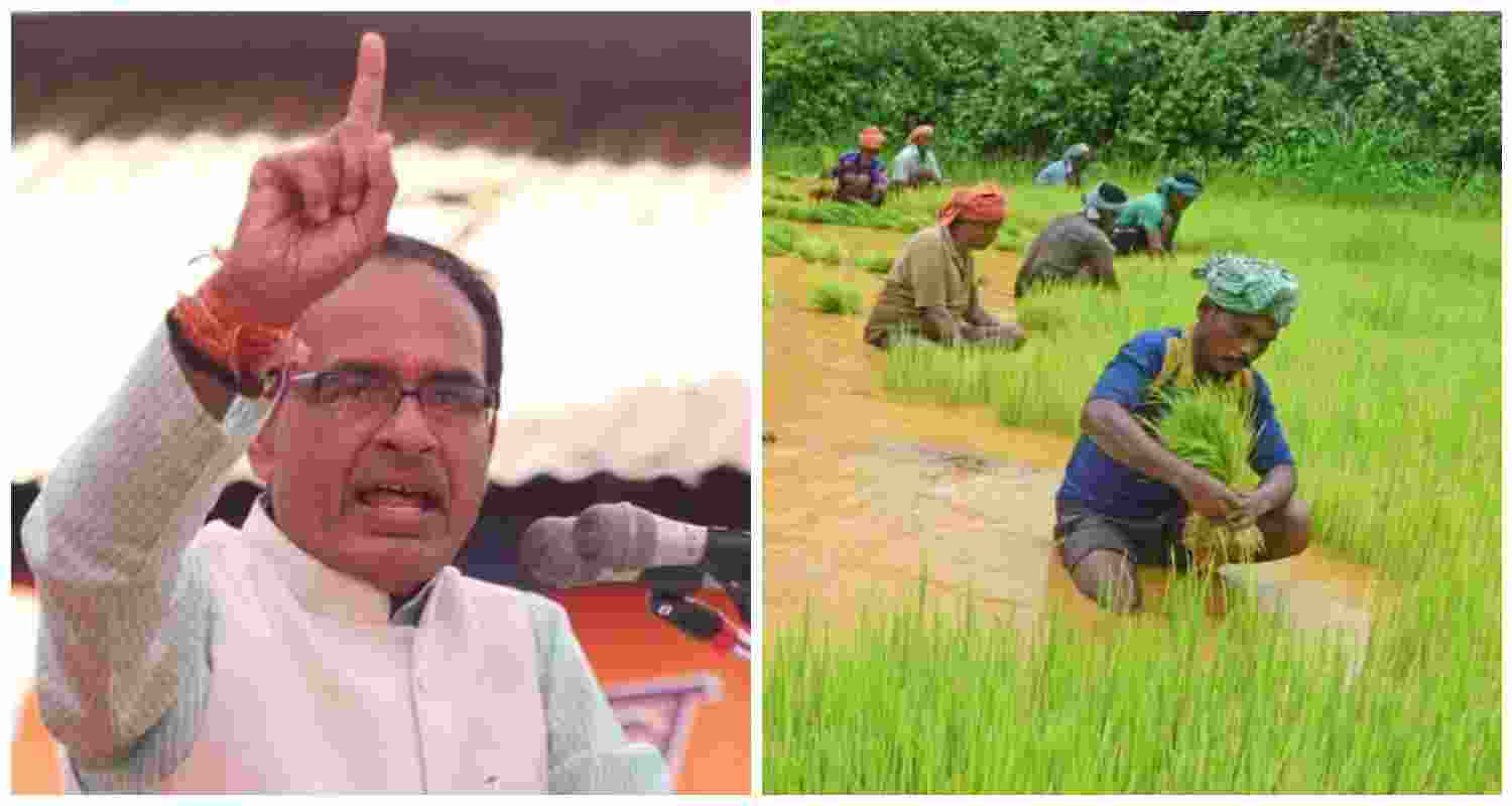 Union Minister Shivraj Singh Chouhan. File photo.