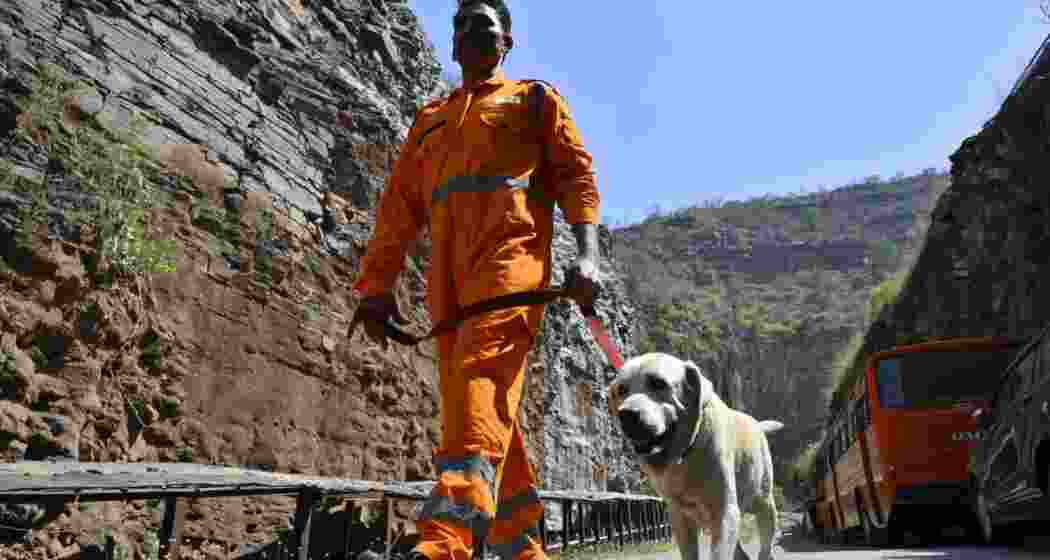 A National Disaster Response Force (NDRF) member with a sniffer dog at Srisailam Left Bank Canal (SLBC) project. File photo.