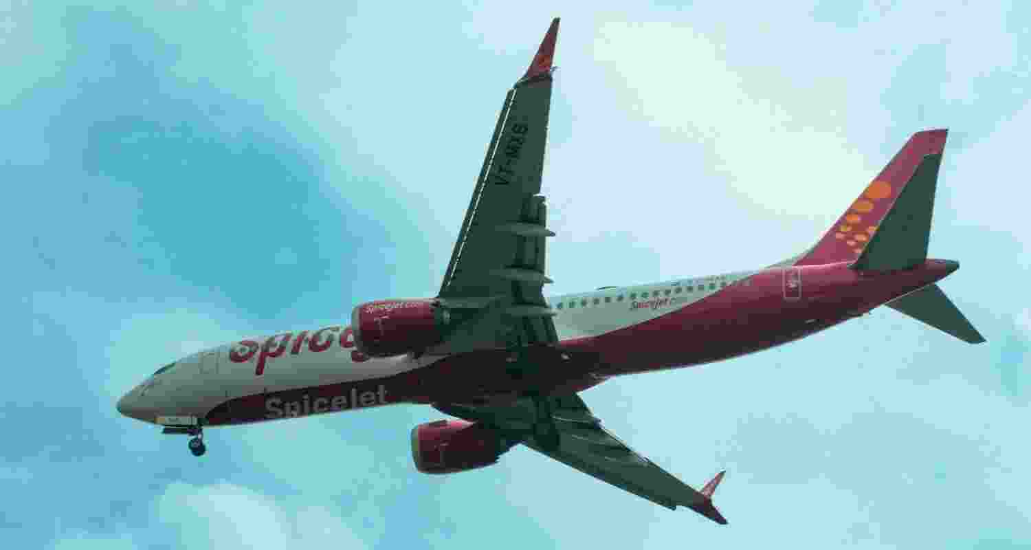 A representative image.