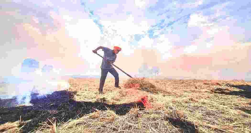 Image for representative use only.