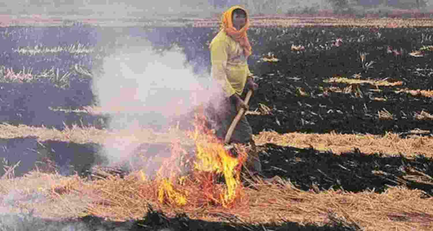 Representative Image. 