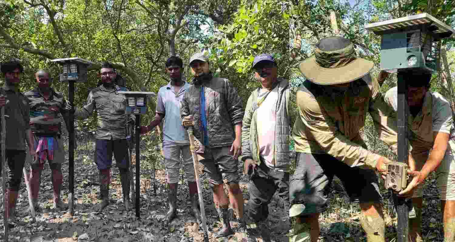 WTI, South 24 Parganas Forest Dept launch ANIDERS in Sundarbans to curb human-tiger conflict with early warning tech.