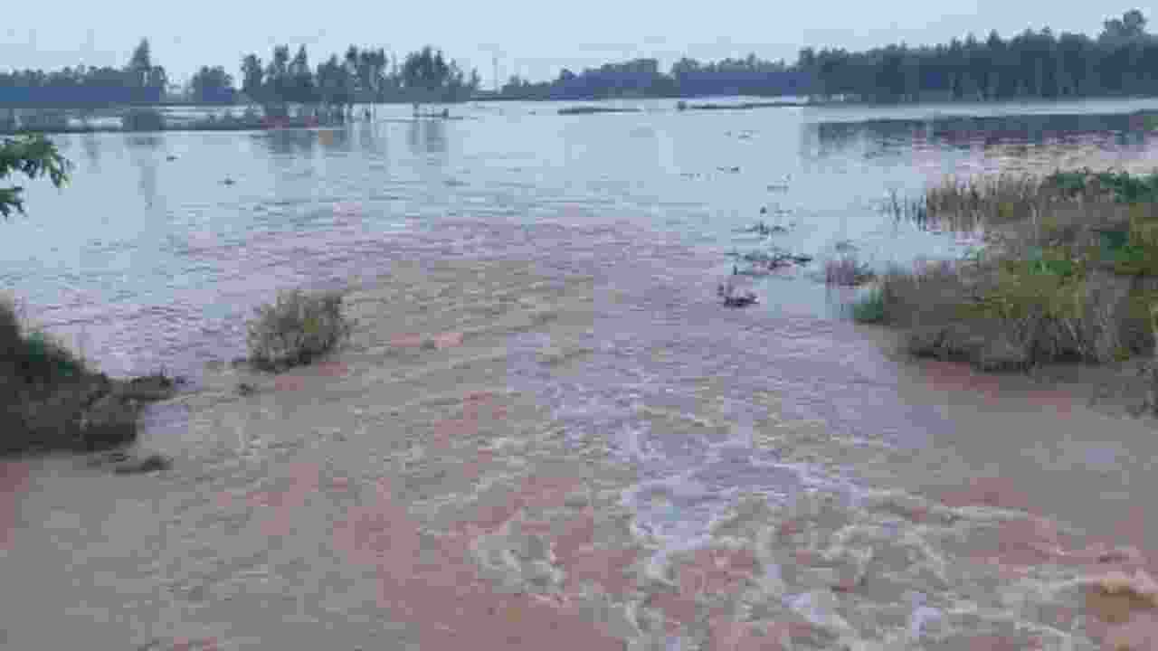 Tangri river in Ambala nears danger mark