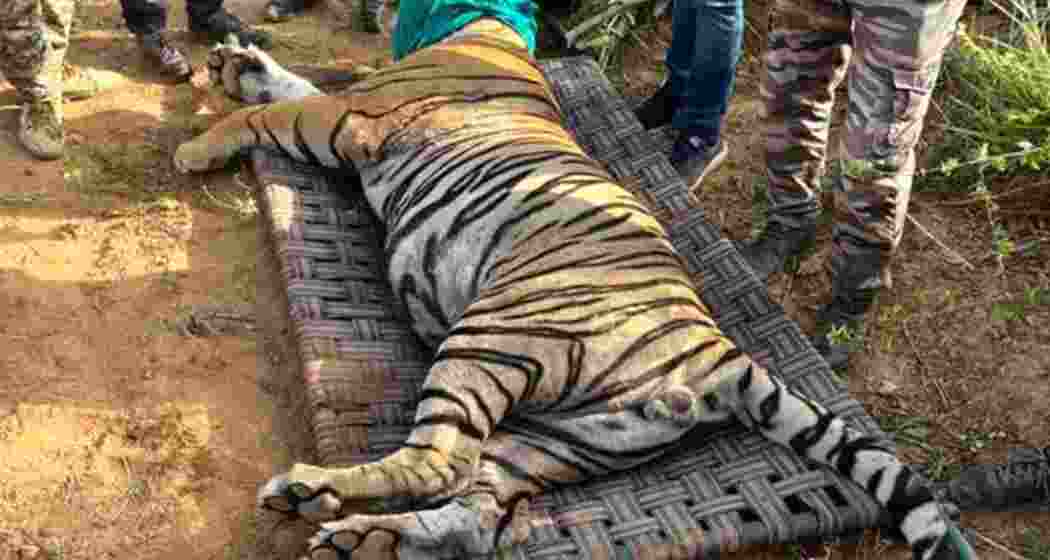 Image for representative use only.