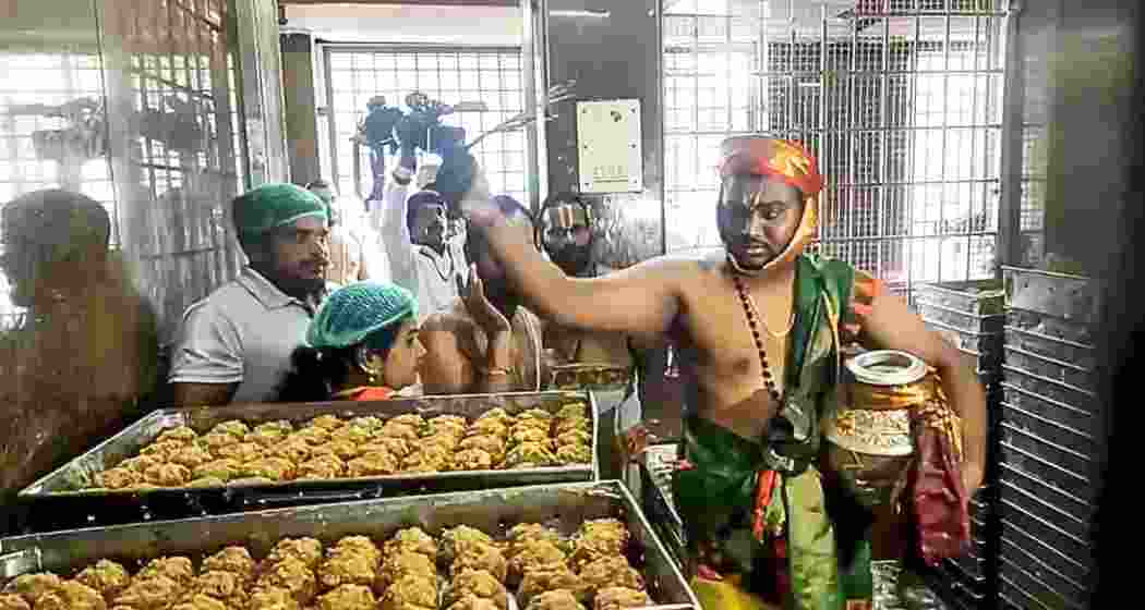 The Tirupati temple's laddu controversy has once again gained limelight as a Supreme Court-ordered SIT on Friday began investigating allegations of adulterated ghee usage in the sacred prasadam.